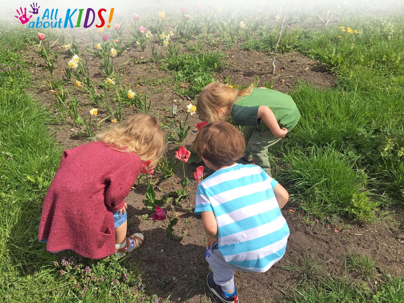 przedszkole z językiem angielskim wejherowo